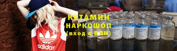 гашик Козловка
