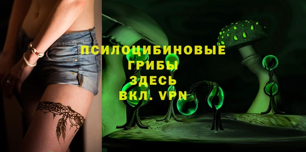 гашик Козловка