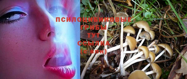 МДПВ Козельск