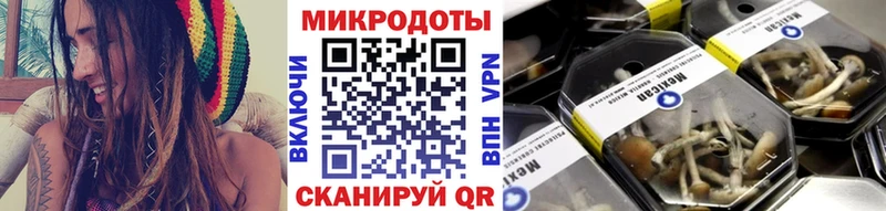 как найти   Первомайск  Псилоцибиновые грибы мицелий 